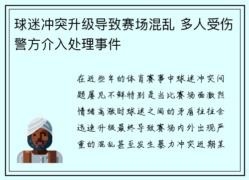 球迷冲突升级导致赛场混乱 多人受伤警方介入处理事件