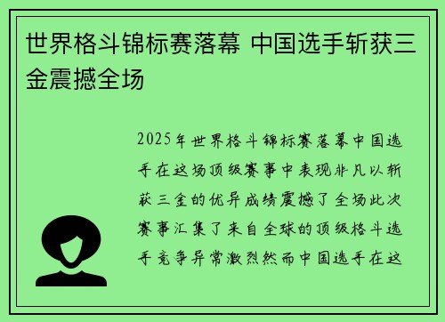 世界格斗锦标赛落幕 中国选手斩获三金震撼全场